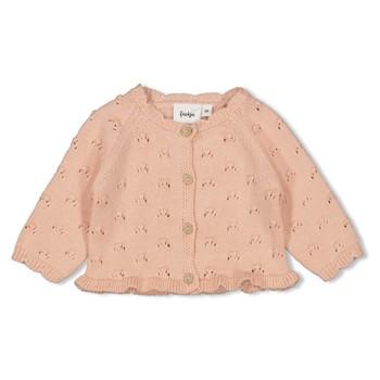 alt__Feetje_BabyTopsVest_Gebreid_L_Roze__width__218__height__218_