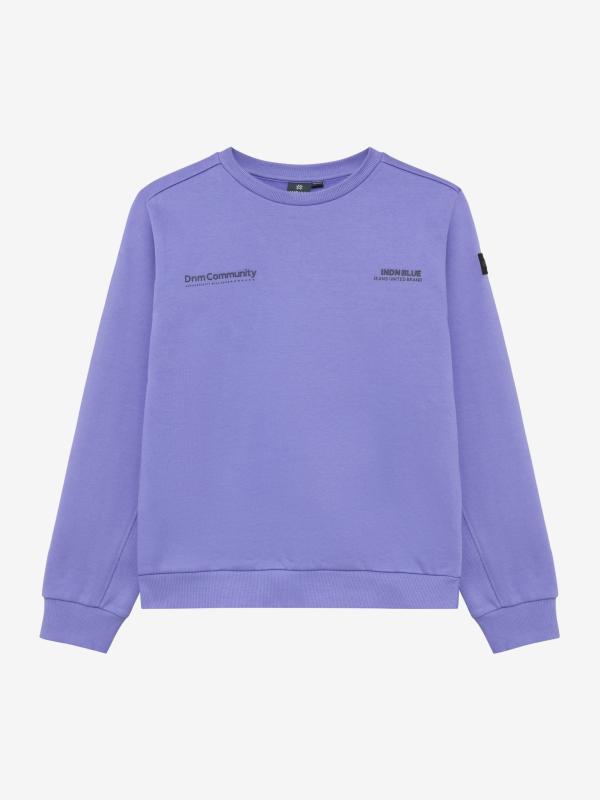 alt__Indian_Blue_JeansTopsSweater_Bright_Purple__width__218__height__218_