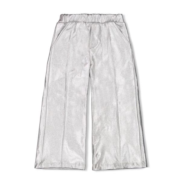 alt__JubelBottomsBroek_Culotte_Zilver__width__218__height__218_