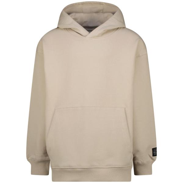 alt__RaizzedTopsHoodie_Natum_Agate_Grey__width__218__height__218_