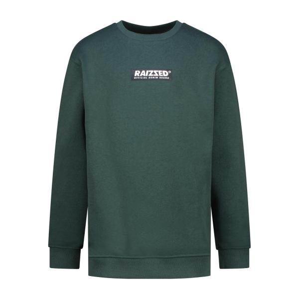 alt__RaizzedTopsSweater_Seasy_Dark_Green__width__218__height__218_