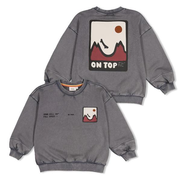 alt__SturdyTopsSweater_Oversized_Grijs__width__218__height__218_