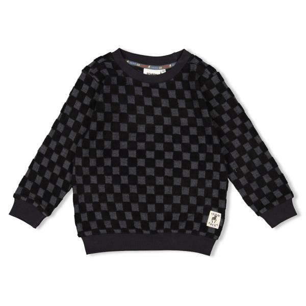 alt__SturdyTopsSweater_Ruit_Antraciet__width__218__height__218_
