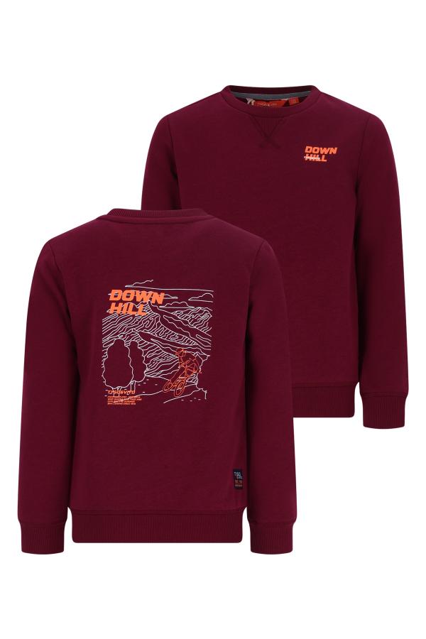 alt__Tygo___VitoTopsSweater_Rhododendron__width__218__height__218_