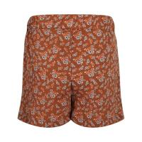 Korte_Broek_Brown_1