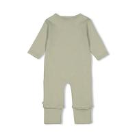 alt__Feetje_BabyBottomsOmslagvoet_AOP_uni_Peren_Groen__width__218__height__218__1