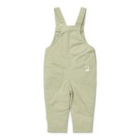 alt__Little_DutchBottomsTuinbroek_Boys_Green__width__218__height__218_