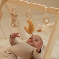 alt__Little_DutchHouten_Speelgoed_en_Pluche_Baby_Gym_Newborn_Naturals__width__218__height__218__1
