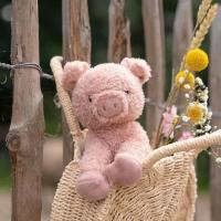 alt__Little_DutchHouten_Speelgoed_en_Pluche_Knuffel_Varkentje__width__218__height__218__1
