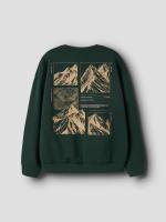 alt__Name_It_KidsTopsSweater_Pine_Grove__width__218__height__218__2