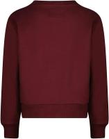 alt__RaizzedTopsSweater_Line_Sangria_Red__width__218__height__218__1