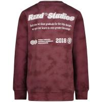 alt__RaizzedTopsSweater_Nalaric_Plum_Red__width__218__height__218__1