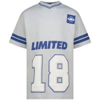 alt__RaizzedTopsT_Shirt_Himited_Pearl_Grey__width__218__height__218_