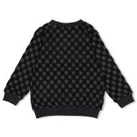 alt__SturdyTopsSweater_Ruit_Antraciet__width__218__height__218__1