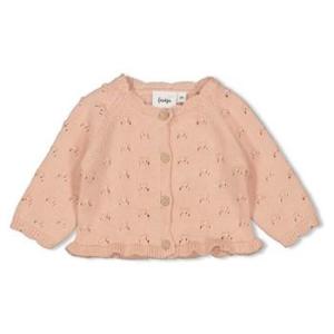 alt__Feetje_BabyTopsVest_Gebreid_L_Roze__width__218__height__218_