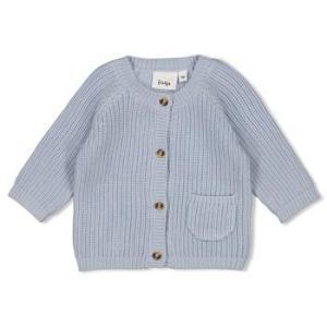 alt__Feetje_BabyTopsVestje_Gebreid_Blauw__width__218__height__218_