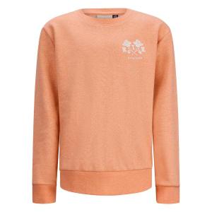 alt__RETOURTopsSweater_Eelco_Living_Coral__width__218__height__218_