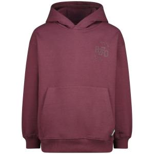 alt__RaizzedTopsHoodie_Nai_Plum_Red__width__218__height__218_