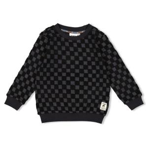 alt__SturdyTopsSweater_Ruit_Antraciet__width__218__height__218_