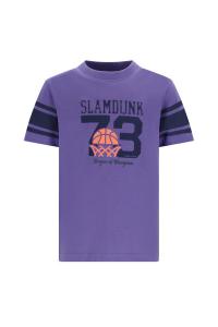 alt__Tygo___VitoTopsT_Shirt_Troy_Grape_Mist__width__218__height__218_